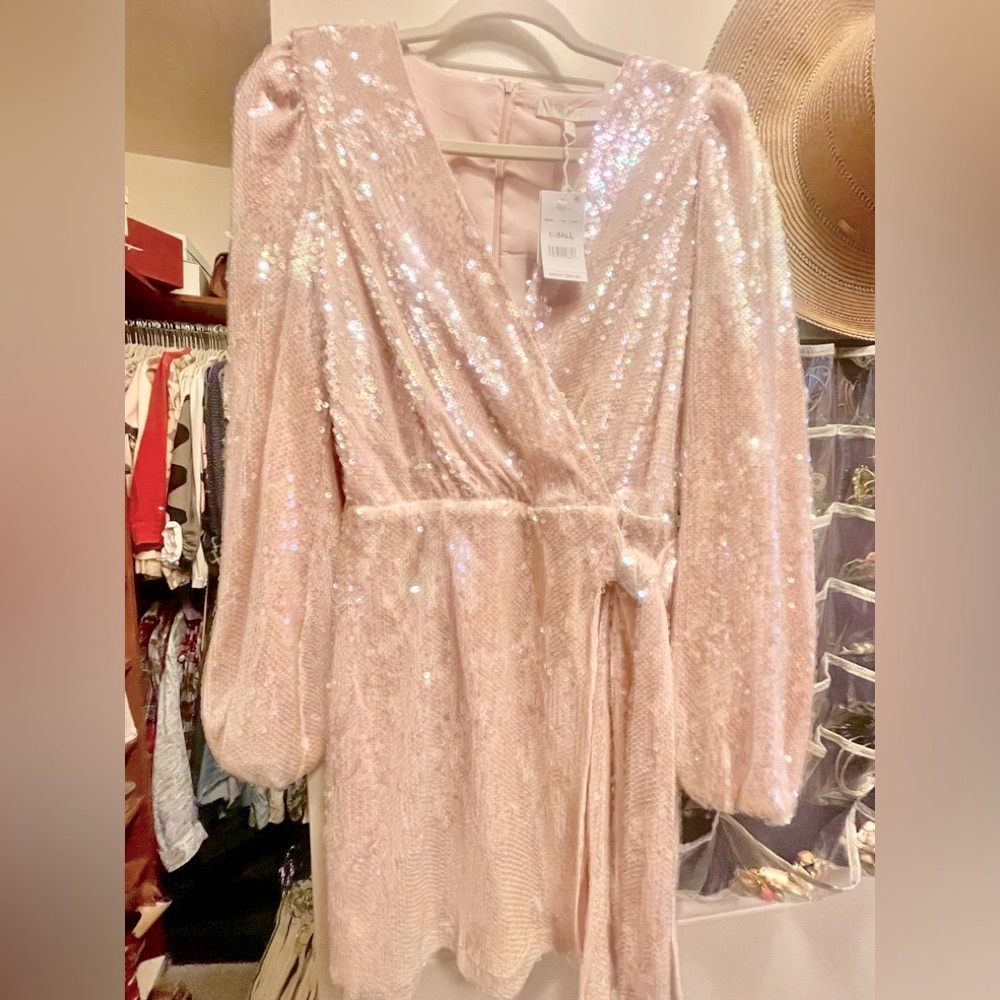 Wayf Pink Blush Sequin Dress